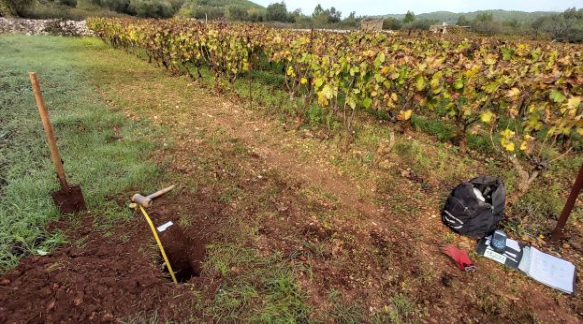 Pilot područje Blatskog polja na otoku Korčuli